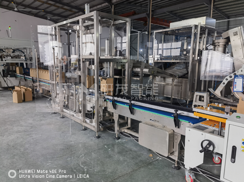 智能兩軸機器人裝箱機——定制化適用于食品、醫(yī)藥、電子行業(yè)自動化生產(chǎn)線廠家