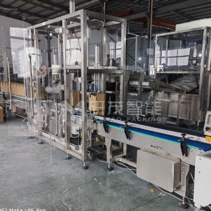 智能兩軸機器人裝箱機——定制化適用于食品、醫(yī)藥、電子行業(yè)自動化生產(chǎn)線廠家