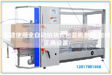 福建使用全自動(dòng)給袋式包裝機(jī)參數(shù)(如何正確設(shè)置)