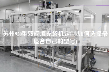 蘇州950型雙閥填充袋機定制(如何選擇z適合自己的型號)