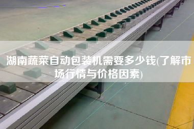 湖南蔬菜自動包裝機需要多少錢(了解市場行情與價格因素)