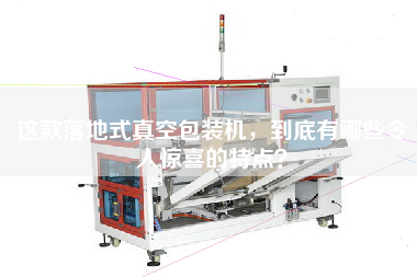 這款落地式真空包裝機(jī)，到底有哪些令人驚喜的特點(diǎn)？