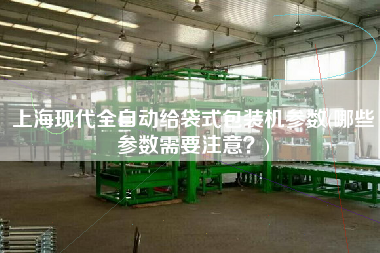上海現(xiàn)代全自動(dòng)給袋式包裝機(jī)參數(shù)(哪些參數(shù)需要注意？)