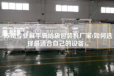 蘇州專(zhuān)業(yè)扁平袋給袋包裝機(jī)廠家(如何選擇z適合自己的設(shè)備)。