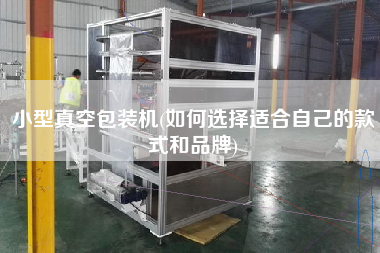 小型真空包裝機(jī)(如何選擇適合自己的款式和品牌)