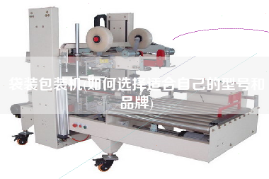 袋裝包裝機(jī)(如何選擇適合自己的型號(hào)和品牌)