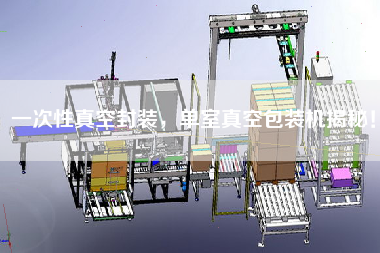 一次性真空封裝，單室真空包裝機(jī)揭秘！