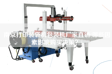 南京打印裝袋機包裝機廠家直銷(哪些因素影響X決策？)