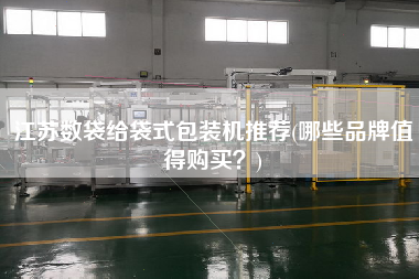 江蘇數(shù)袋給袋式包裝機(jī)推薦(哪些品牌值得X？)