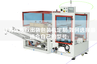 江蘇優(yōu)質(zhì)雙出袋包裝機(jī)定制(如何選擇z適合自己的型號(hào))