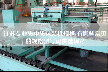 江蘇專業(yè)袋中袋包裝機規(guī)格(有哪些常見的規(guī)格型號可供選擇)？