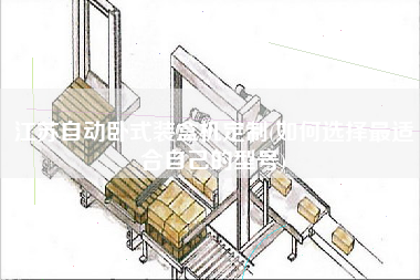 江蘇自動臥式裝盒機(jī)定制(如何選擇z適合自己的型號)