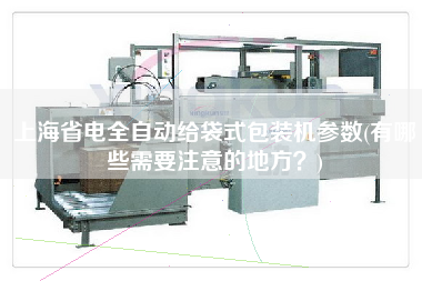 上海省電全自動給袋式包裝機參數(shù)(有哪些需要注意的地方？)