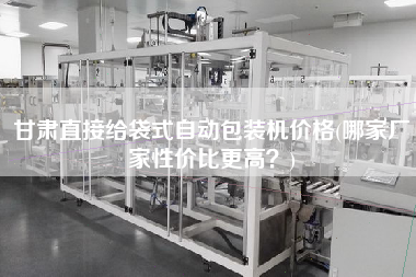 甘肅直接給袋式自動包裝機價格(哪家廠家性價比z高？)