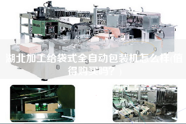 湖北加工給袋式全自動包裝機怎么樣(值得X嗎？)