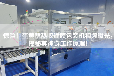 驚險！蛋黃酥熱收縮膜包裝機視頻曝光，揭秘其神奇工作原理！