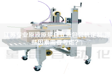 江蘇專業(yè)原液原漿自立袋包裝機(jī)定制(哪些因素需要考慮？)