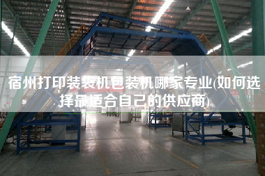 宿州打印裝袋機(jī)包裝機(jī)哪家專(zhuān)業(yè)(如何選擇z適合自己的供應(yīng)商)