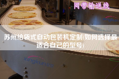 蘇州給袋式自動(dòng)包裝機(jī)定制(如何選擇z適合自己的型號(hào))