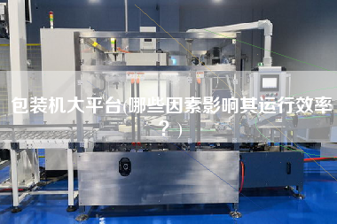 包裝機(jī)大平臺(tái)(哪些因素影響其運(yùn)行效率？)