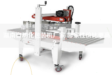 湖南自動(dòng)化包裝機(jī)廠家(哪家性價(jià)比z高？)