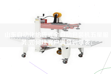 山東自動(dòng)化給袋式全自動(dòng)包裝機(jī)五星服務(wù)(如何讓客戶滿意到爆表)