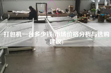 打包機(jī)一臺多少錢(市場價格分析與選購建議)