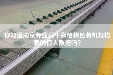 你知道南京專業(yè)扁平袋給袋包裝機(jī)規(guī)格表的驚人數(shù)據(jù)嗎？