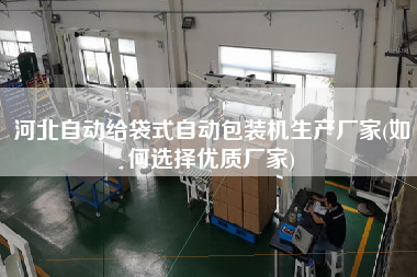 河北自動(dòng)給袋式自動(dòng)包裝機(jī)生產(chǎn)廠家(如何選擇優(yōu)質(zhì)廠家)