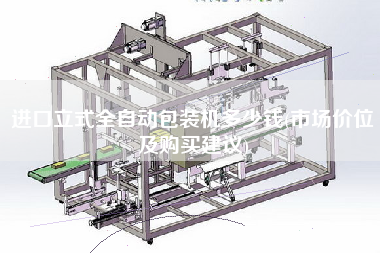 進(jìn)口立式全自動(dòng)包裝機(jī)多少錢(市場價(jià)位及X建議)