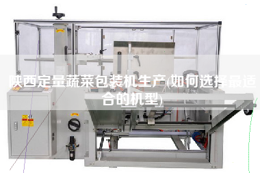 陜西定量蔬菜包裝機生產(chǎn)(如何選擇z適合的機型)