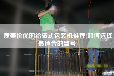 質美價優(yōu)的給袋式包裝機推薦(如何選擇z適合的型號)
