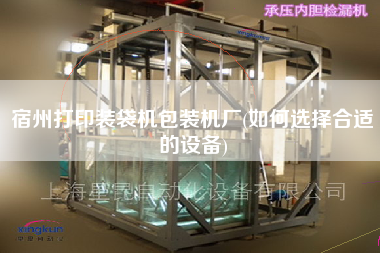 宿州打印裝袋機包裝機廠(如何選擇合適的設備)