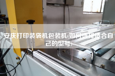 安慶打印裝袋機(jī)包裝機(jī)(如何選擇適合自己的型號(hào))