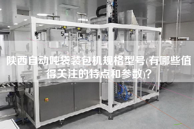 陜西自動噸袋裝包機(jī)規(guī)格型號(有哪些值得關(guān)注的特點(diǎn)和參數(shù))？