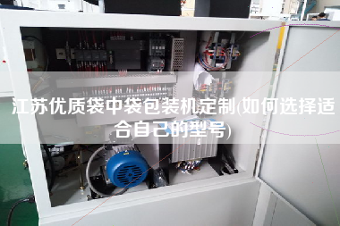 江蘇優(yōu)質(zhì)袋中袋包裝機(jī)定制(如何選擇適合自己的型號)