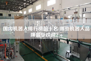 國(guó)內(nèi)機(jī)器人排行榜前十名(哪些機(jī)器人品牌z受歡迎？)