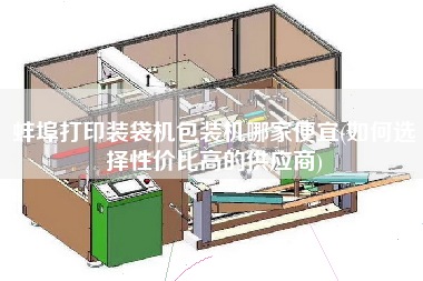 蚌埠打印裝袋機包裝機哪家便宜(如何選擇性價比高的供應(yīng)商)
