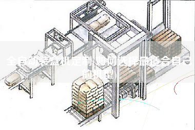 全自動(dòng)裝盒機(jī)定制(如何選擇z適合自己的機(jī)型)