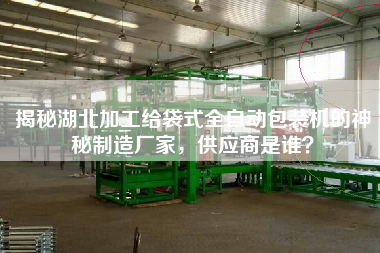 揭秘湖北加工給袋式全自動包裝機的神秘制造廠家，供應(yīng)商是誰？