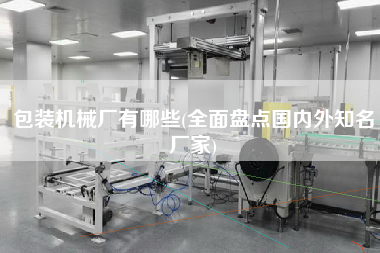 包裝機(jī)械廠有哪些(全面盤點(diǎn)國內(nèi)外知名廠家)