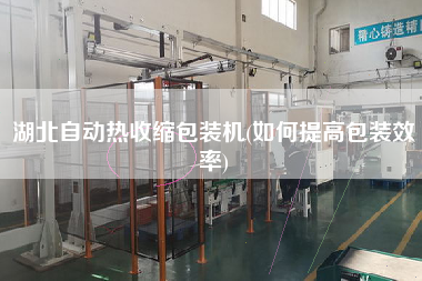 湖北自動熱收縮包裝機(jī)(如何提高包裝效率)