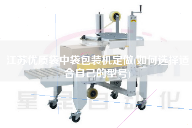 江蘇優(yōu)質(zhì)袋中袋包裝機(jī)定做(如何選擇適合自己的型號)