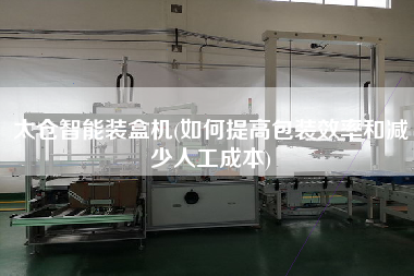 太倉智能裝盒機(jī)(如何提高包裝效率和減少人工成本)