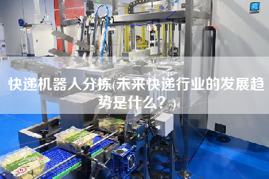 快遞機(jī)器人分揀(未來快遞行業(yè)的發(fā)展趨勢(shì)是什么？)