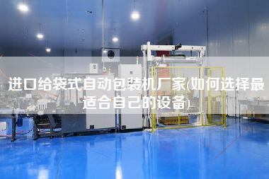 進口給袋式自動包裝機廠家(如何選擇z適合自己的設(shè)備)