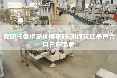 濮陽(yáng)托盤拆垛機(jī)哪家好(如何選擇z適合自己的品牌)