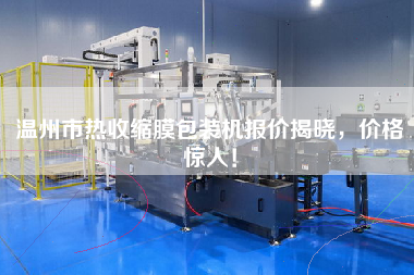 溫州市熱收縮膜包裝機(jī)報價揭曉，價格驚人！