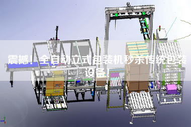 震撼！全自動(dòng)立式包裝機(jī)秒殺傳統(tǒng)包裝設(shè)備！