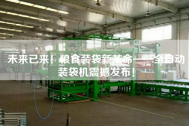 未來已來！糧食裝袋新革命——全自動裝袋機震撼發(fā)布！
